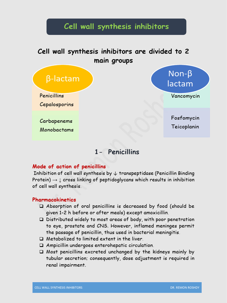 Cell Wall Synthesis Inhibitors Overview | PDF | Penicillin | Beta Lactamase