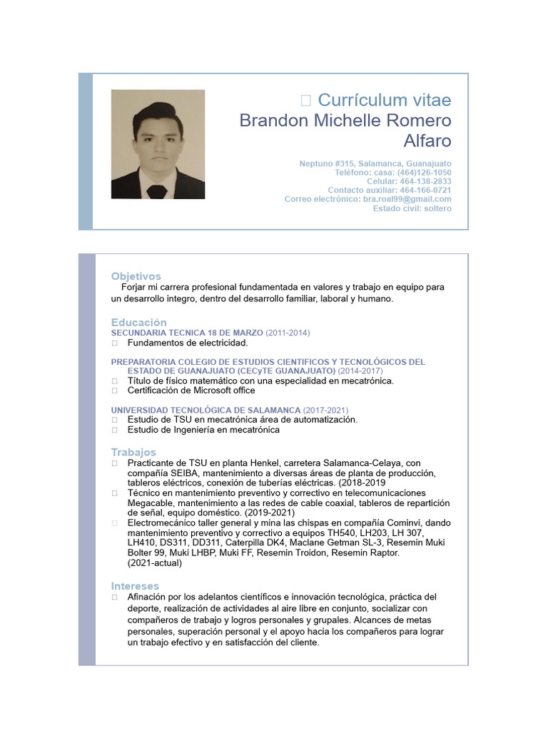 Ejemplo de Currículum Vitae | PDF | Programación de computadoras ...