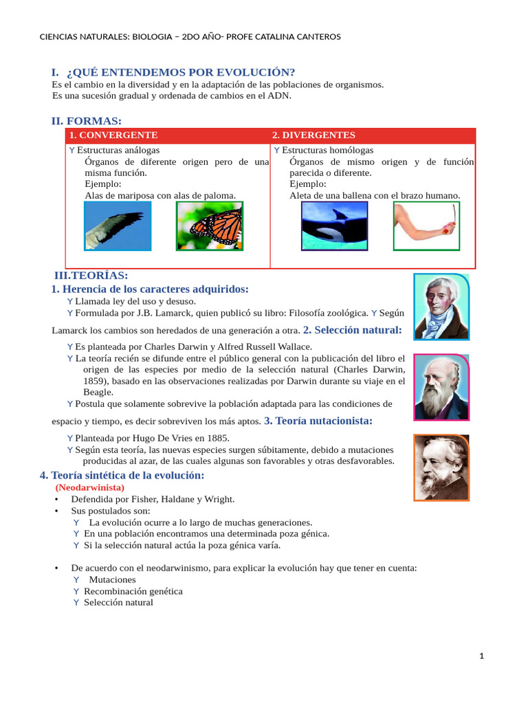 Teorías de la Evolución en Biología | PDF | Evolución | Seleccion natural