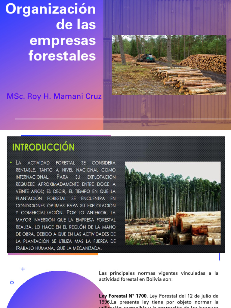 Organización de Empresas Forestales en Bolivia | PDF | Los bosques ...