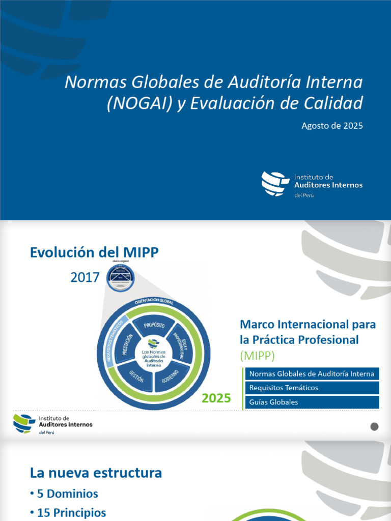 Normas Globales de Auditoría Interna 2025 | PDF | Planificación | Auditoría