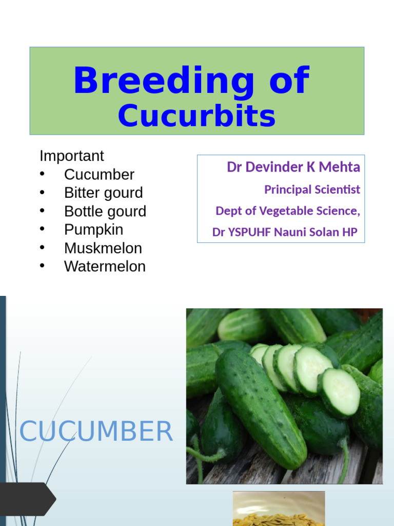 Cucurbits | PDF | Cucurbita | Watermelon
