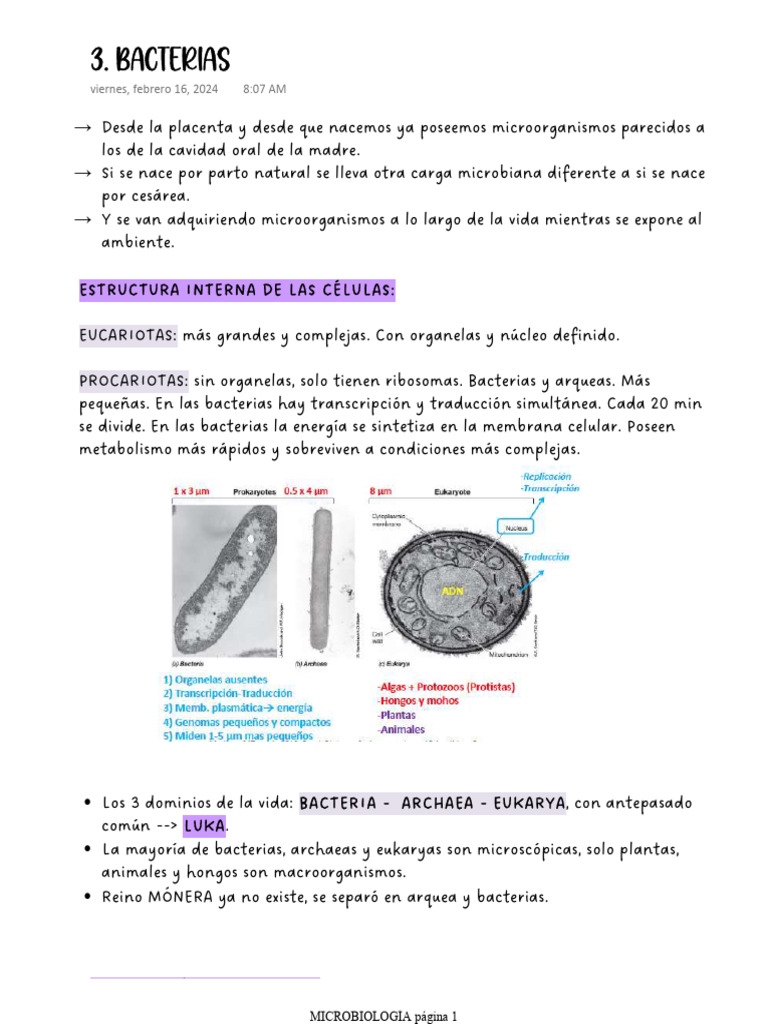 Bacterias | PDF | Las bacterias | Archaea