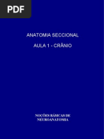 ANATOMIA SECCIONAL (AULA 1)