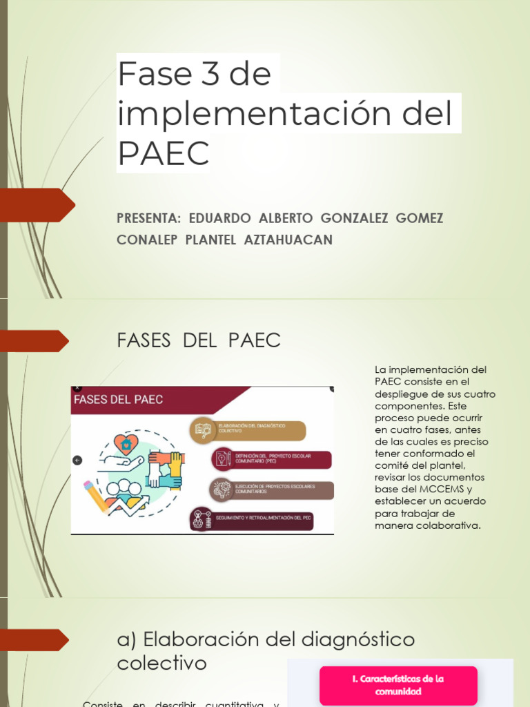 Fases33 Implementacion Paec Eagg | PDF | Plan de estudios | Enseñando