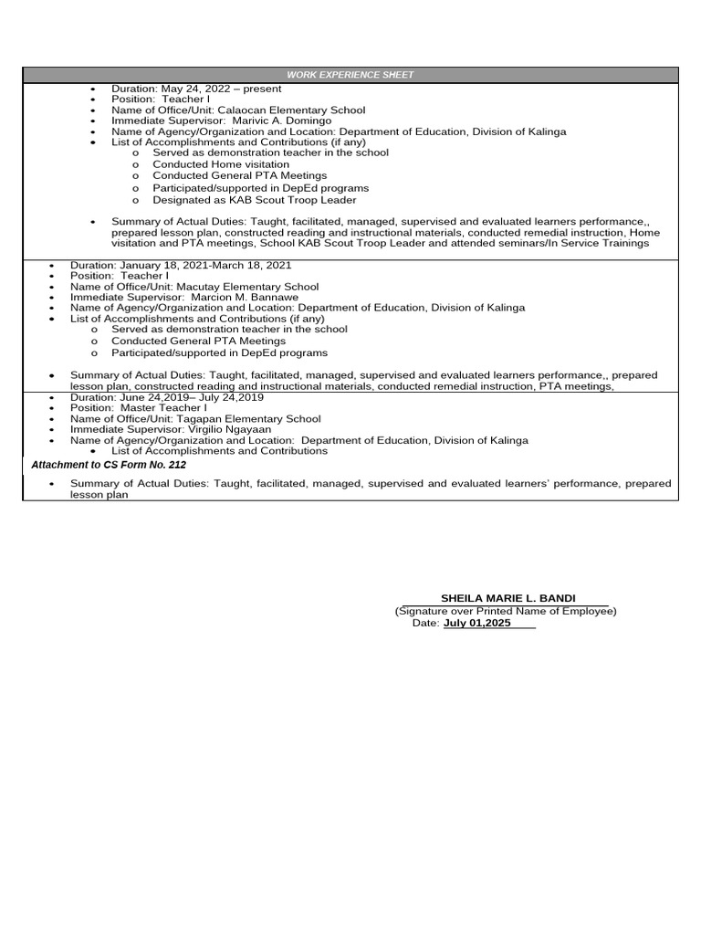 Teacher Work Experience Overview | PDF | Procedural Knowledge ...
