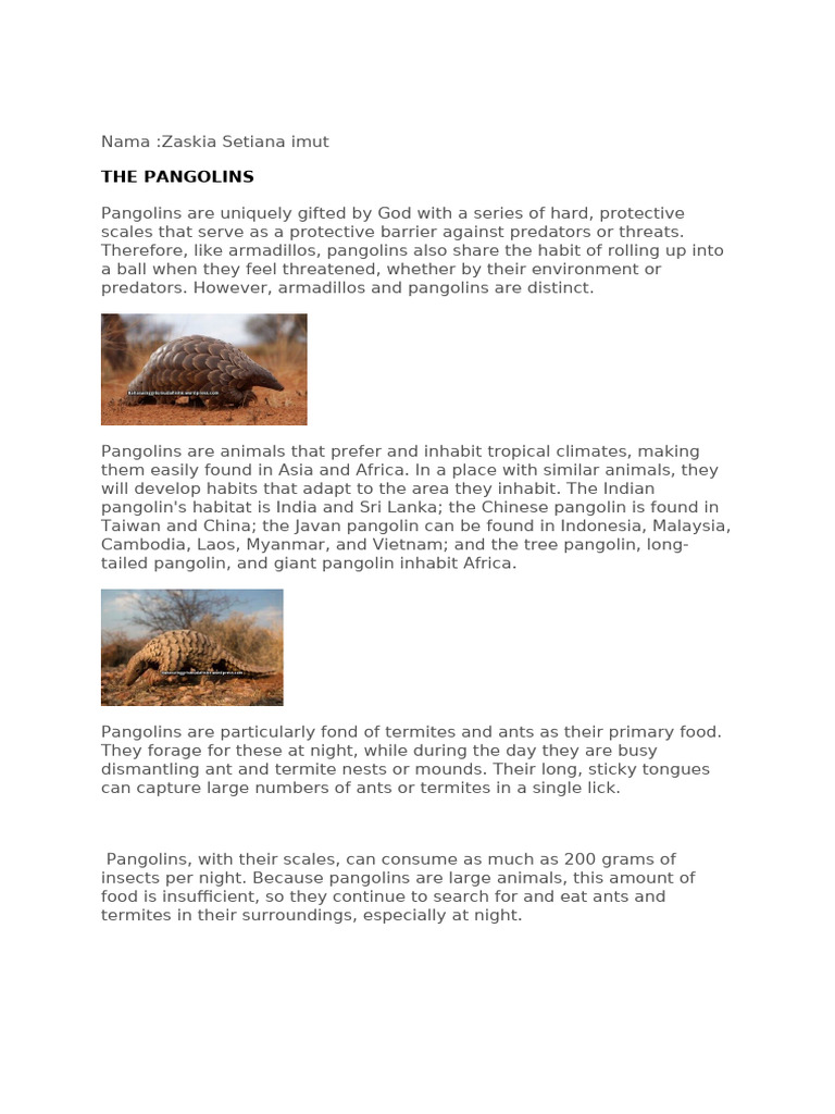Pangolins: Unique Scaled Mammals Explained | PDF