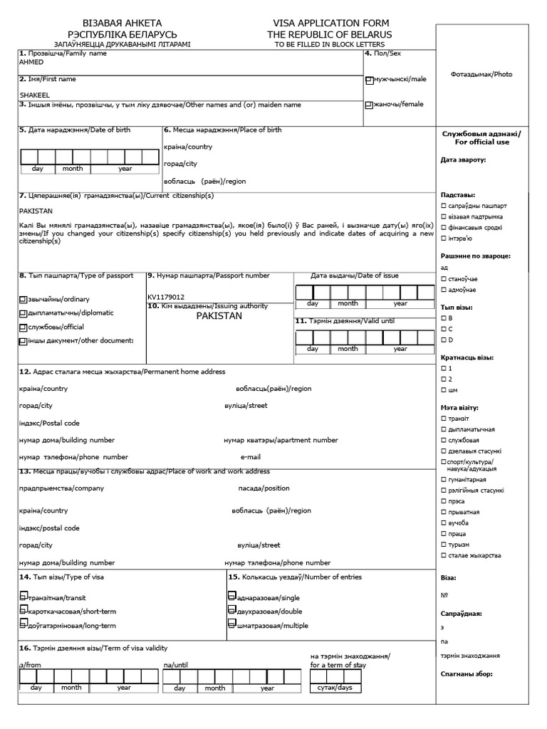Visa Form | PDF