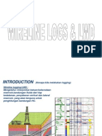 Wireline Logs & LWD