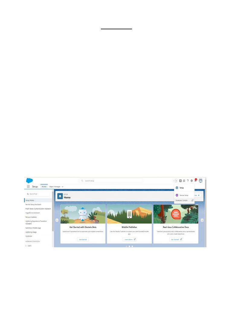 Salesforce Developer Account Setup Guide | PDF | Class (Computer ...
