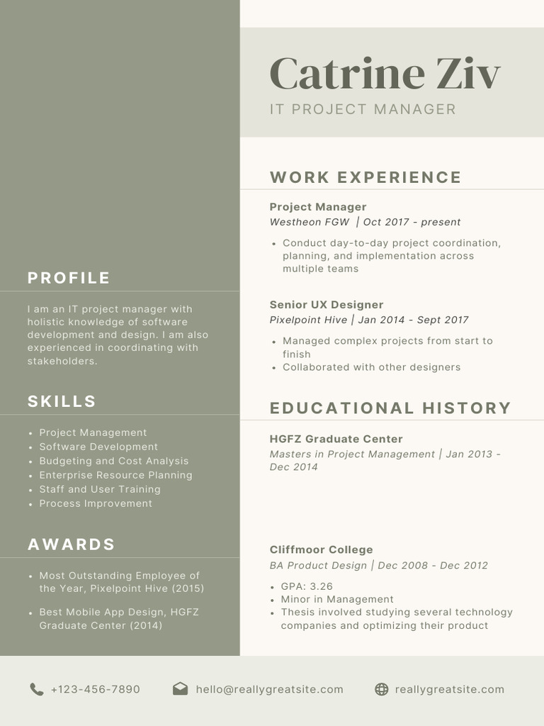 IT Project Manager Profile: Catrine Ziv | PDF