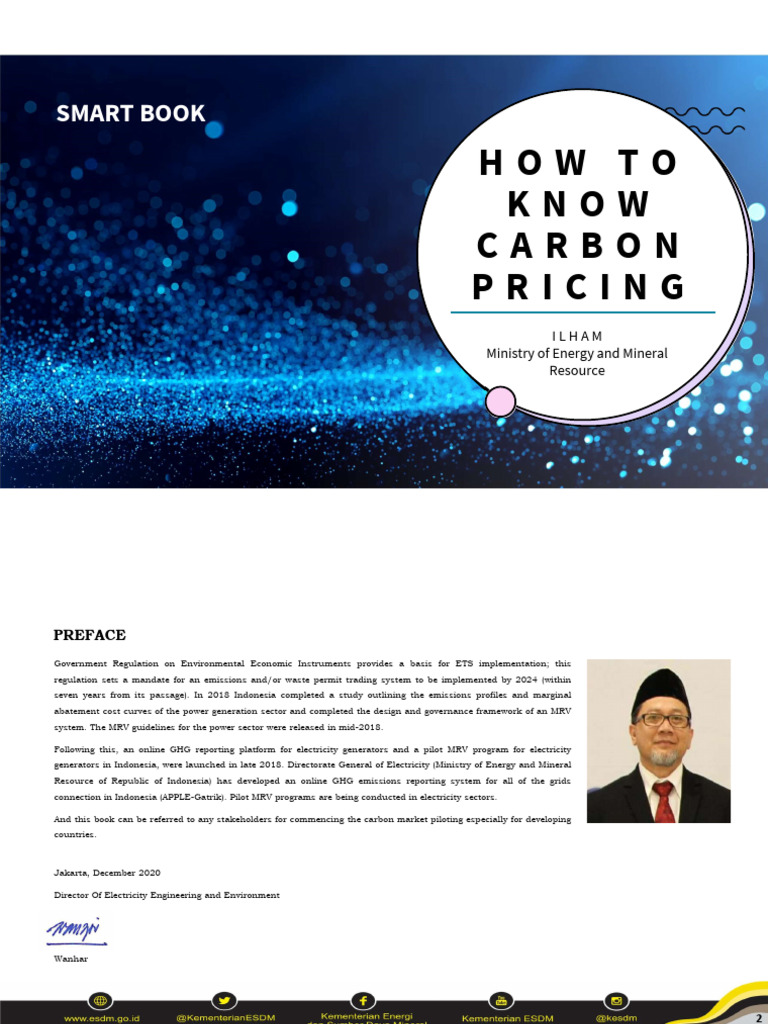 Carbon Pricing Strategies in Indonesia | PDF | Emissions Trading | Taxes