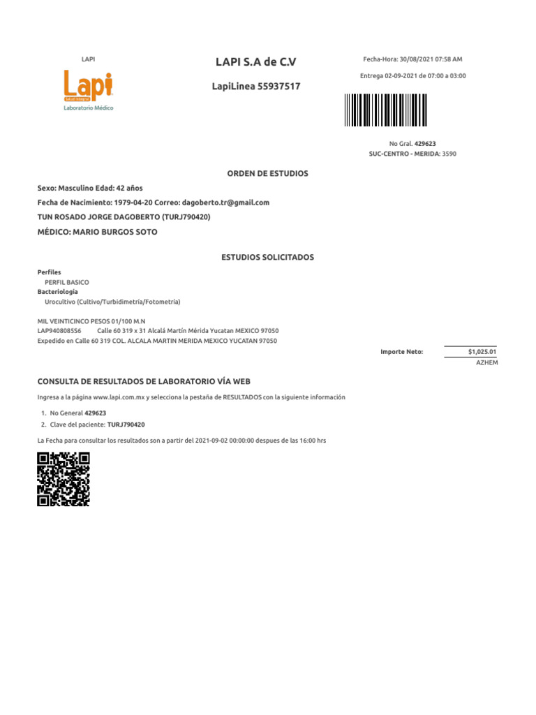 Lapi S.A de C.V: Lapilinea 55937517 | PDF
