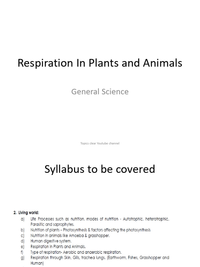 Respiration in Plants and Animals Explained | PDF | Respiratory System ...