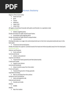 Body Habitus in Radiology Explained | PDF | Abdomen | Vertebral Column