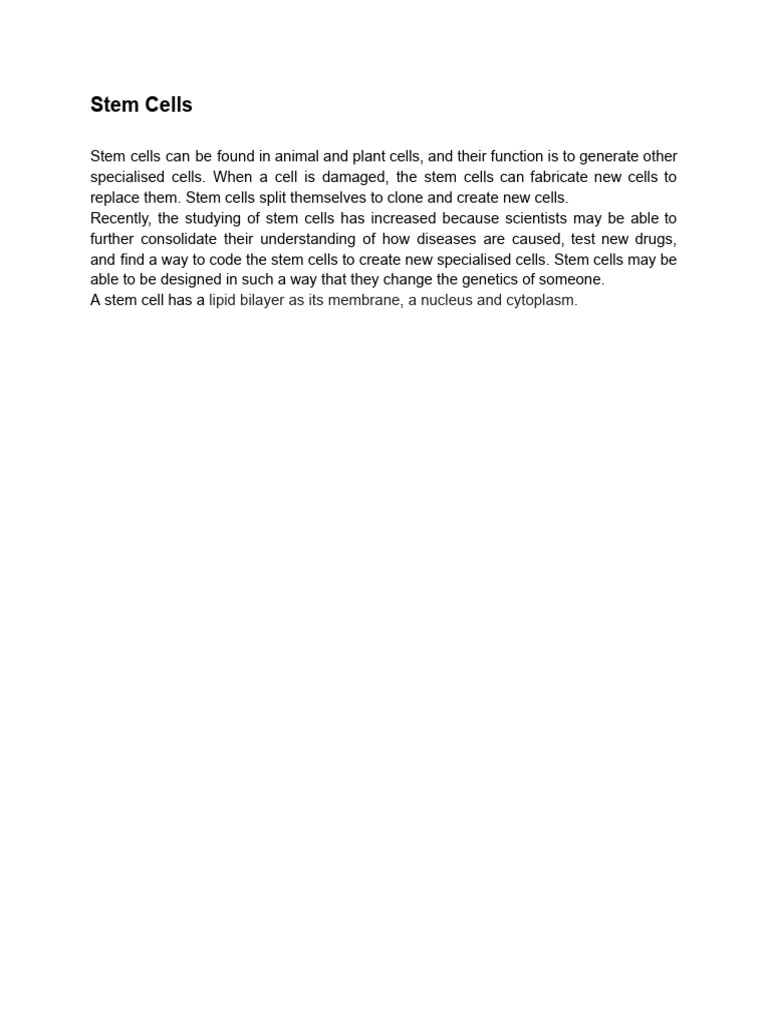 Understanding Stem Cells and Their Functions | PDF