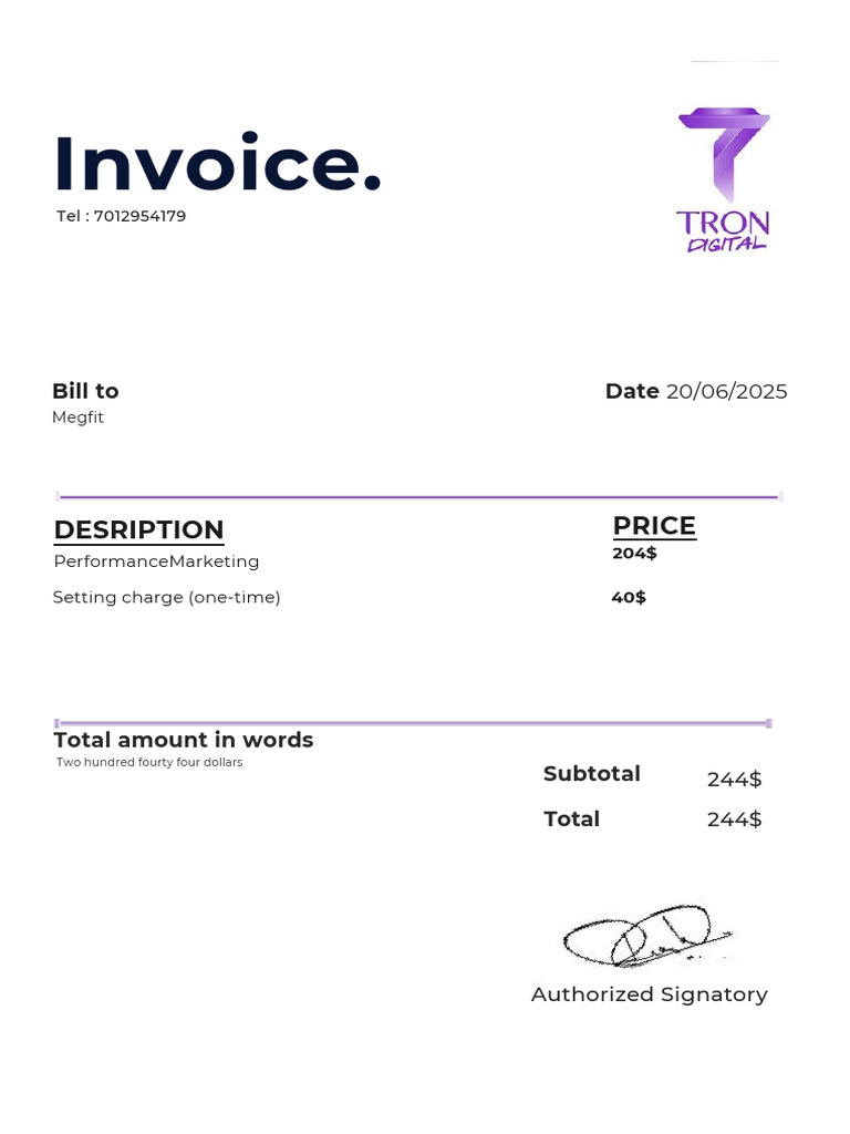Tron Invoice Marketing | PDF