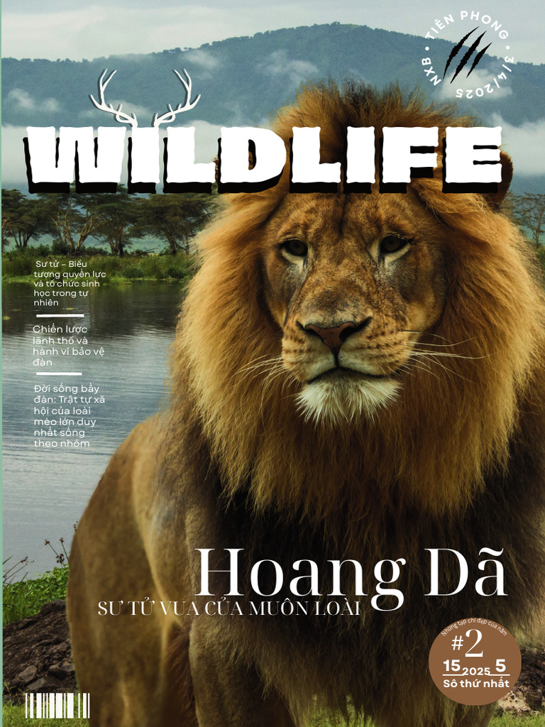 Travel Magazine in Beige Light Green Young Dynamic Style (4) | PDF