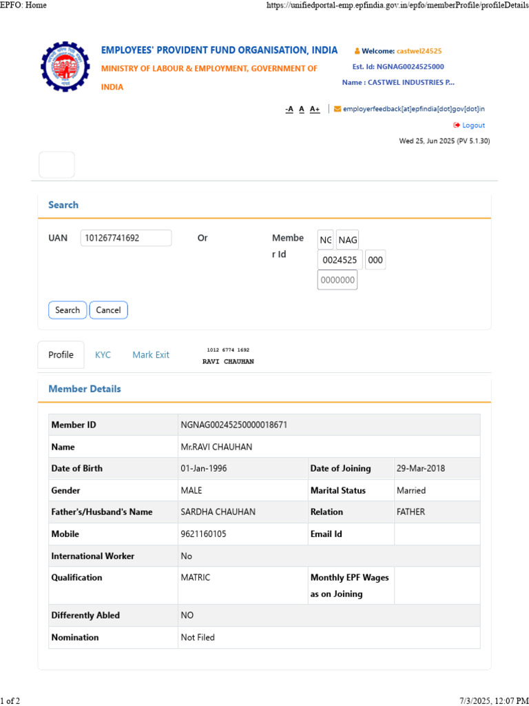 EPF Member Profile Overview | PDF | Government Of India | Demographic ...