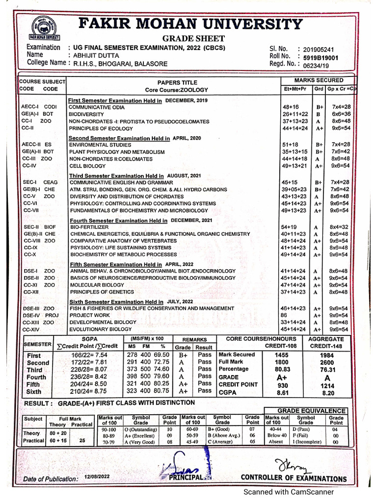 +3 Marksheet | PDF