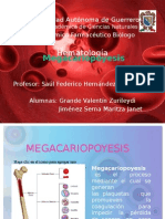 Megacariopoyesis Final