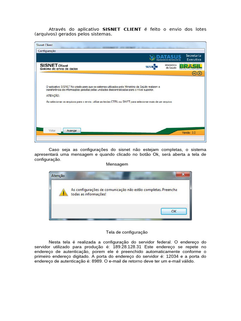 Configuração e Envio no SISNET CLIENT | PDF