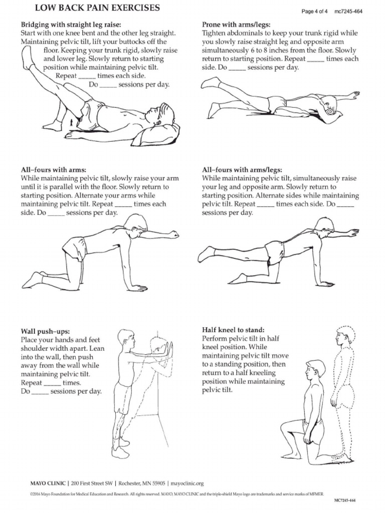 Exercicios Para Dor Lombar Pdf