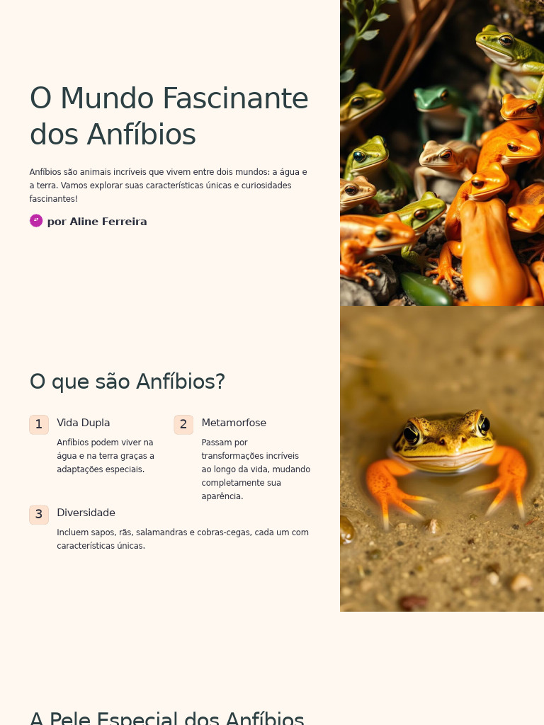 Curiosidades sobre Anfíbios Fascinantes | PDF | Anfíbio | Sapo