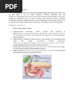 Download Anatomi Dan Fisiologi Pankreas by Neng Ega SN89910579 doc pdf