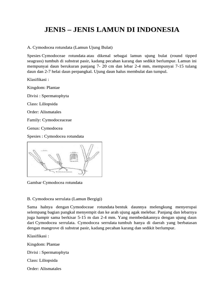 Jenis-Jenis Lamun di Indonesia | PDF