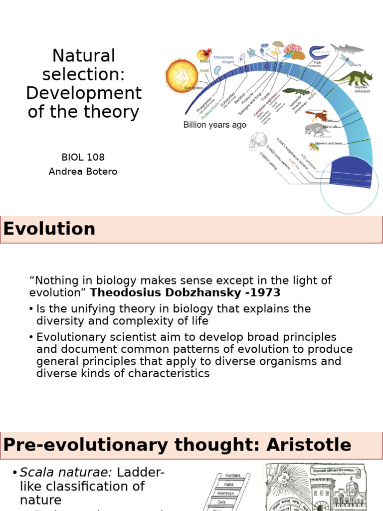 Evolutionary Theory Overview: Key Concepts | PDF | Evolution | Natural ...