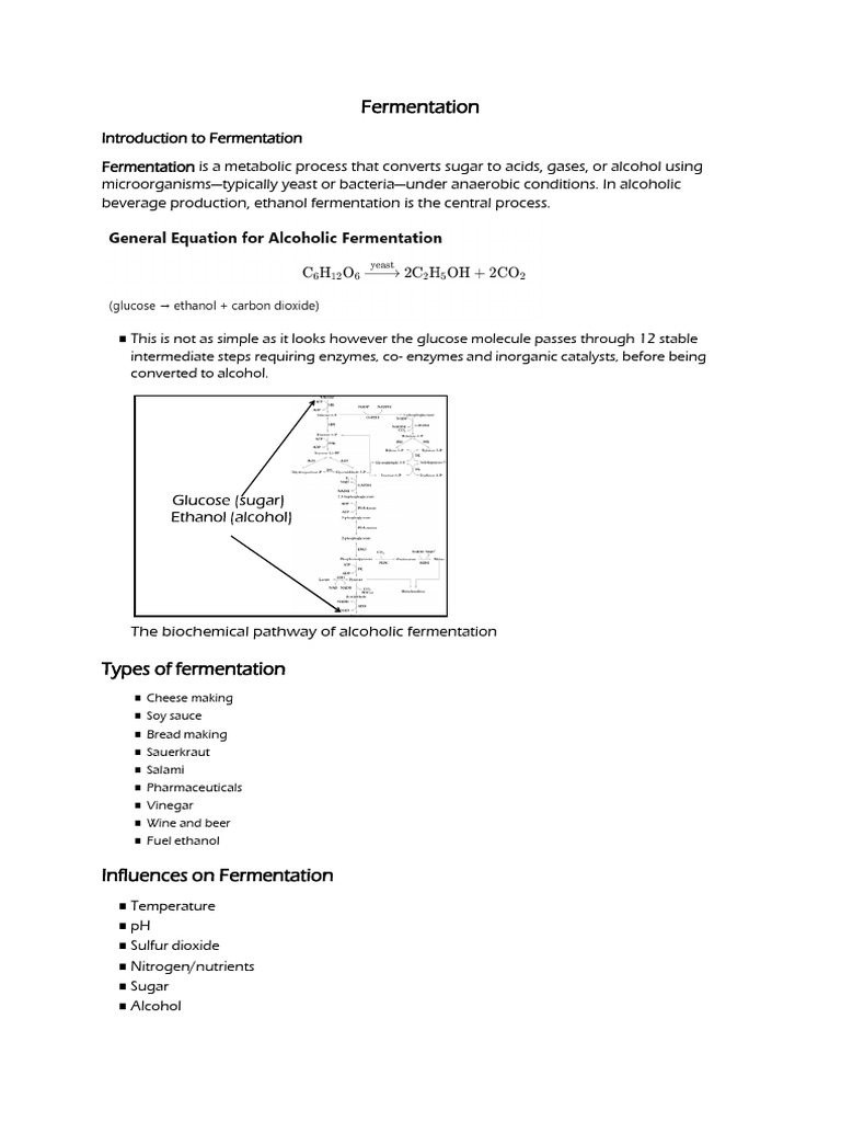 Understanding Fermentation Processes | PDF | Brewing | Fermentation