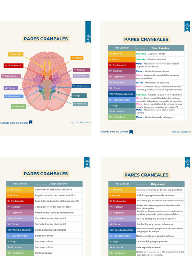 Flash Card | PDF