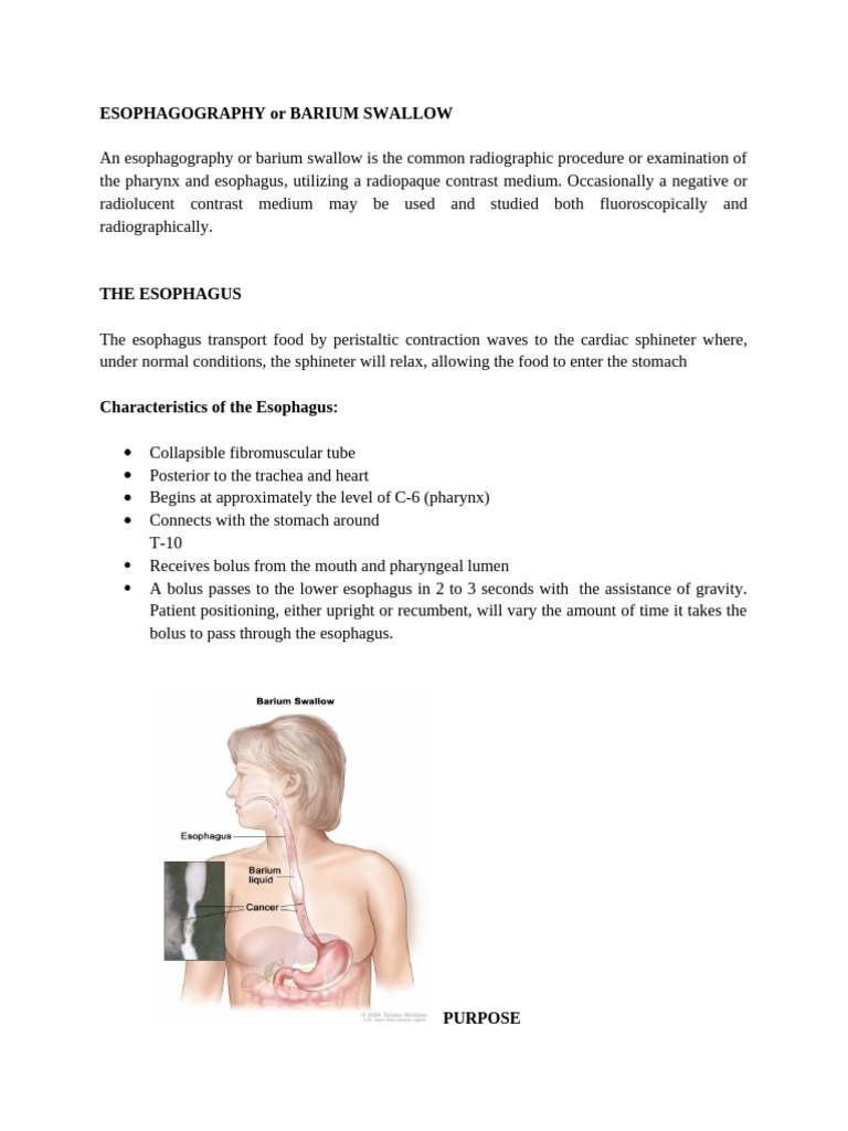 Esophagography: Barium Swallow Guide | PDF | Esophagus | Human Anatomy