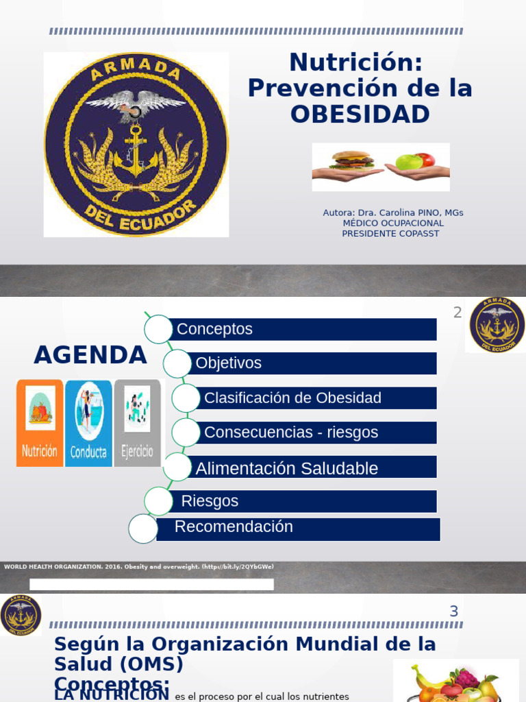 Prevención de la Obesidad y Nutrición | PDF | Dieta | Alimentos