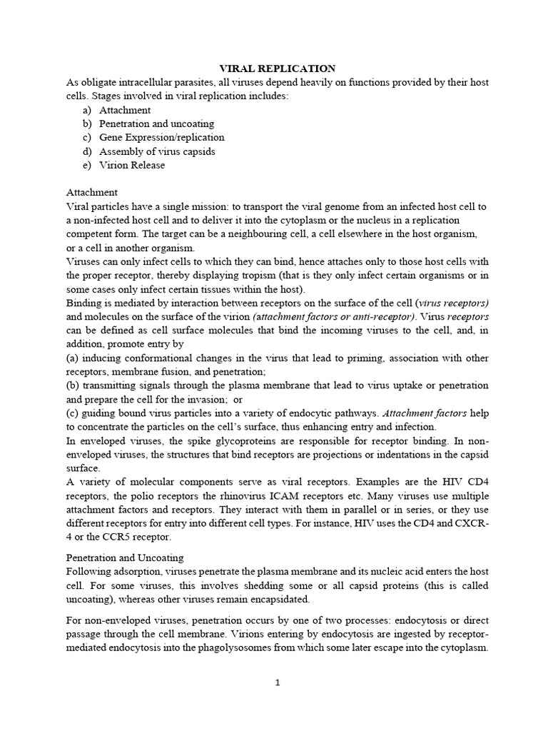 Viral Replication Process Explained | PDF | Sense (Molecular Biology ...