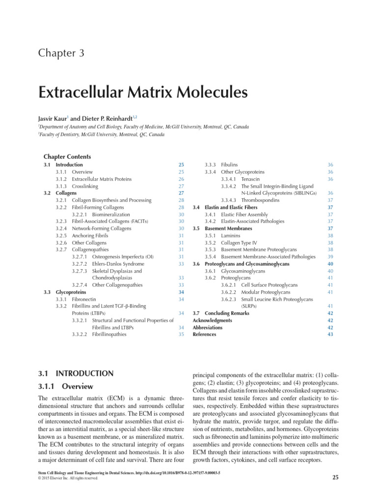 Types and Roles of Extracellular Matrix | PDF | Extracellular Matrix ...