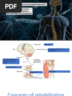 Pusher Syndrome Rehabilitation Strategies | PDF | Medicine | Medical ...