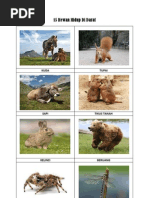 Contoh Kliping Hewan Darat Dan Air Download Contoh Laporan Banjir