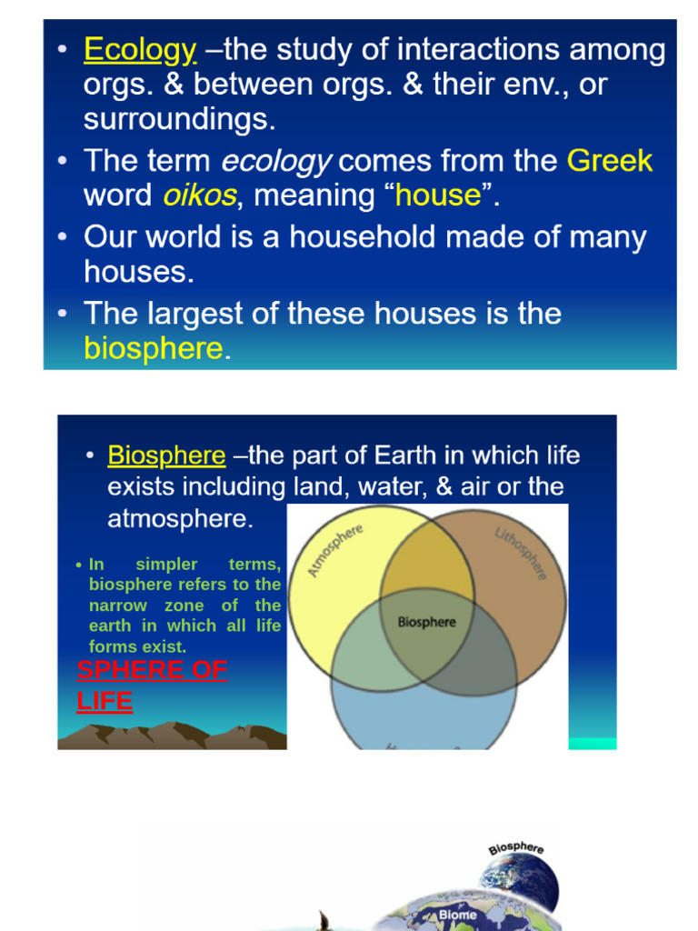 Understanding the Biosphere and Ecosystems | PDF | Soil | Ecosystem