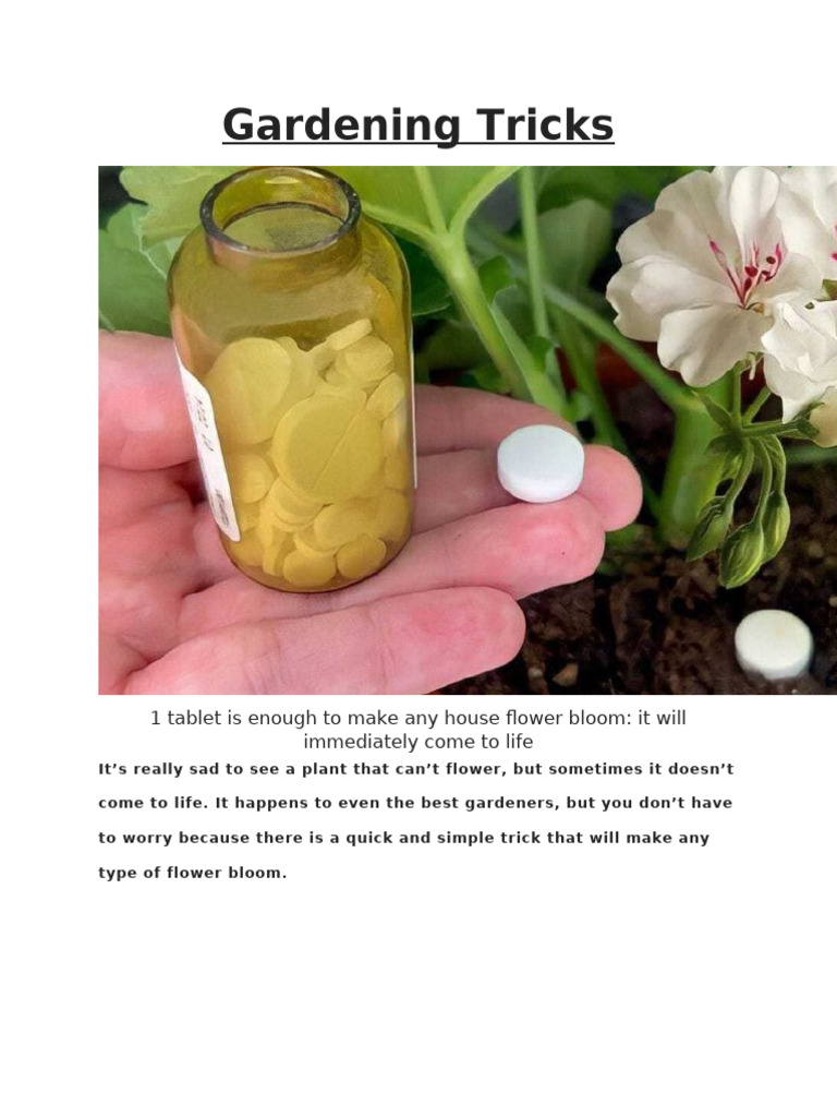 One Tablet For Blossom Flowers | PDF | Plants | Agriculture