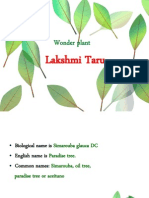 Lakshmi Taru
