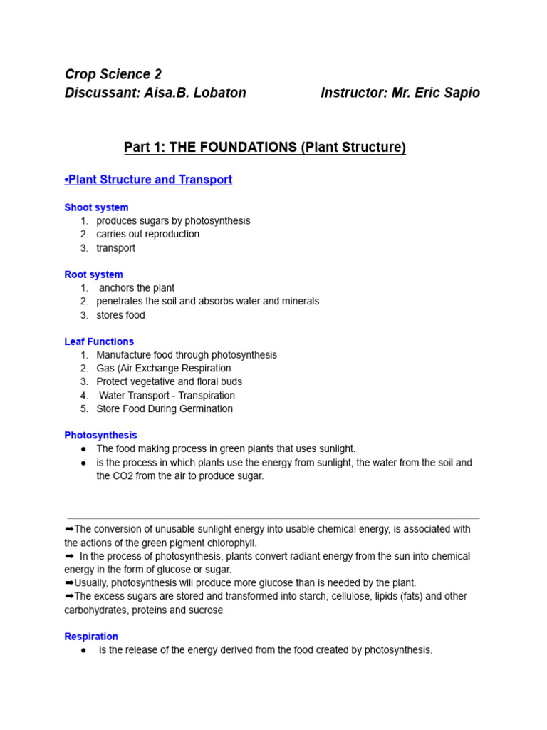Plant Structure and Functions Explained | PDF | Leaf | Stoma