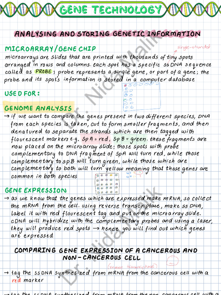 Genetic Analysis and Microarray Techniques | PDF | Dna Microarray | Gene