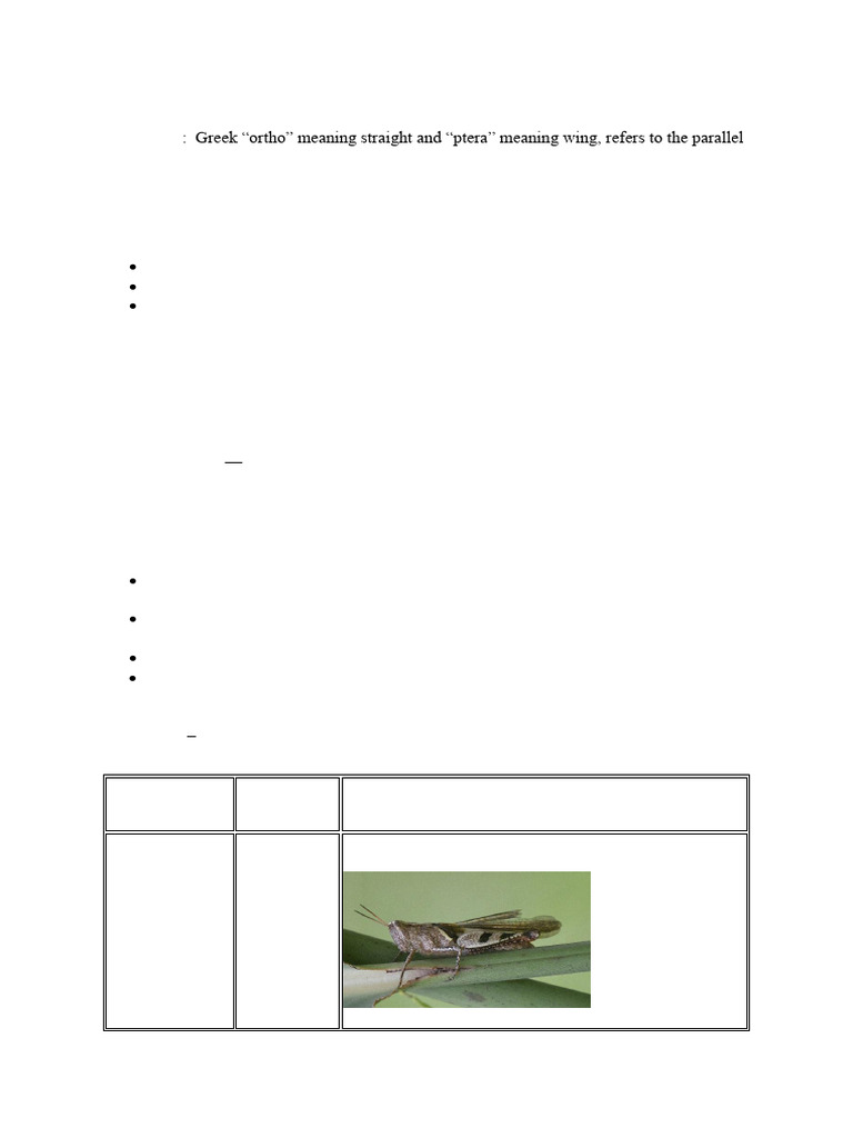 Orthoptera: Grasshoppers and Crickets | PDF | Hexapoda | Insects And Humans