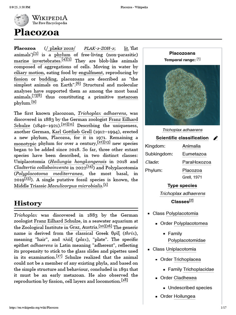 Overview of Placozoa Phylum | PDF | Organisms | Zoology