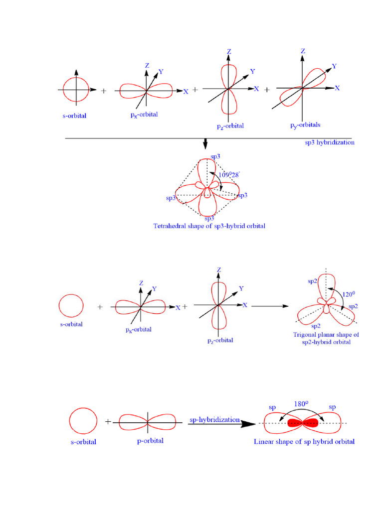 Hybridization | PDF