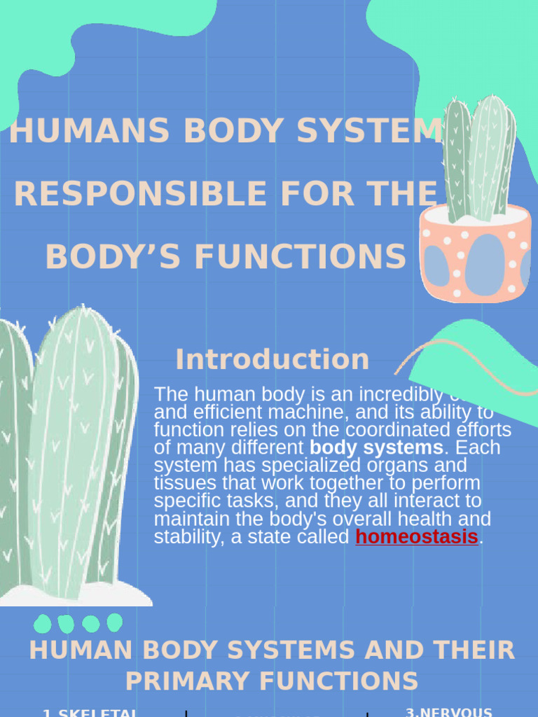 Overview of Human Body Systems | PDF | Human Body | Muscle