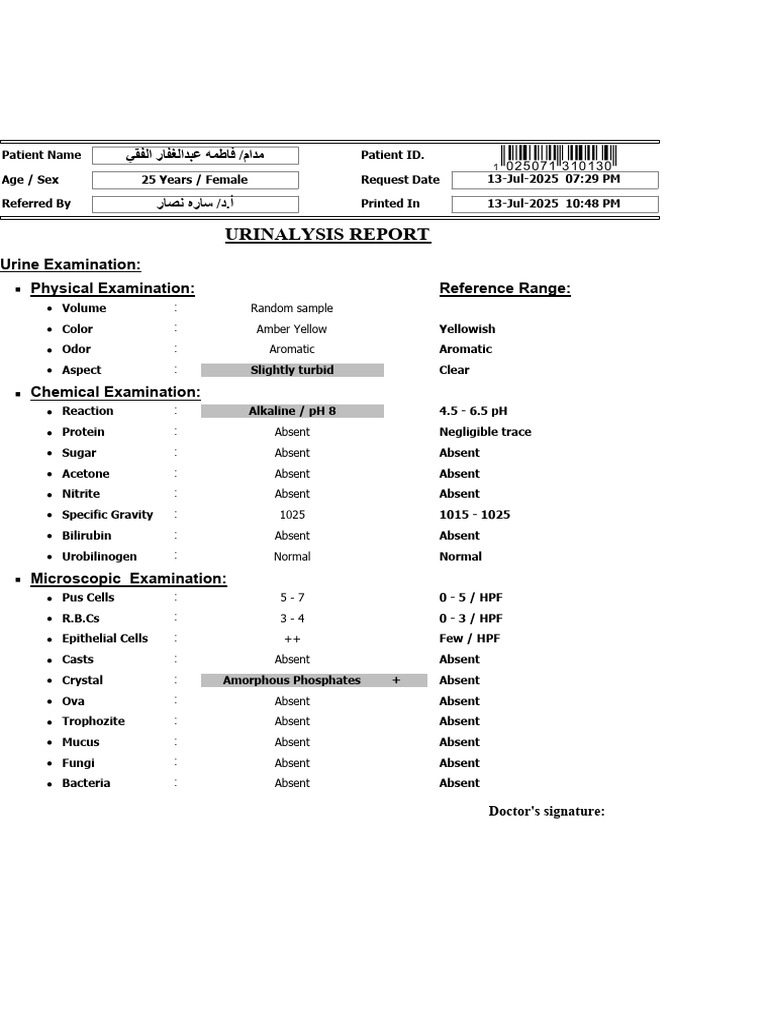Urine Examination | PDF
