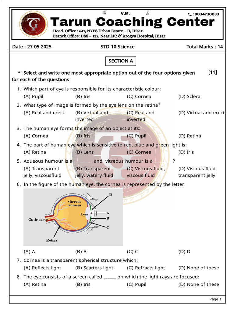 Eye Structure and Function Quiz | PDF | Eye | Cornea